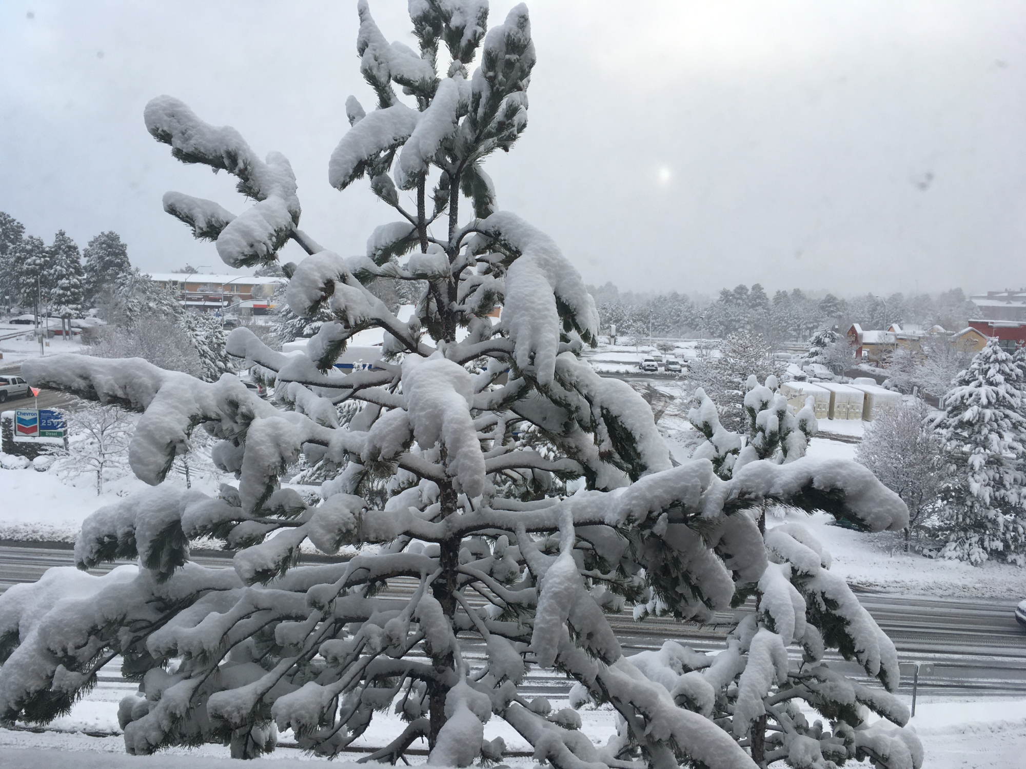 2020-03-19_07-14-09_784_small