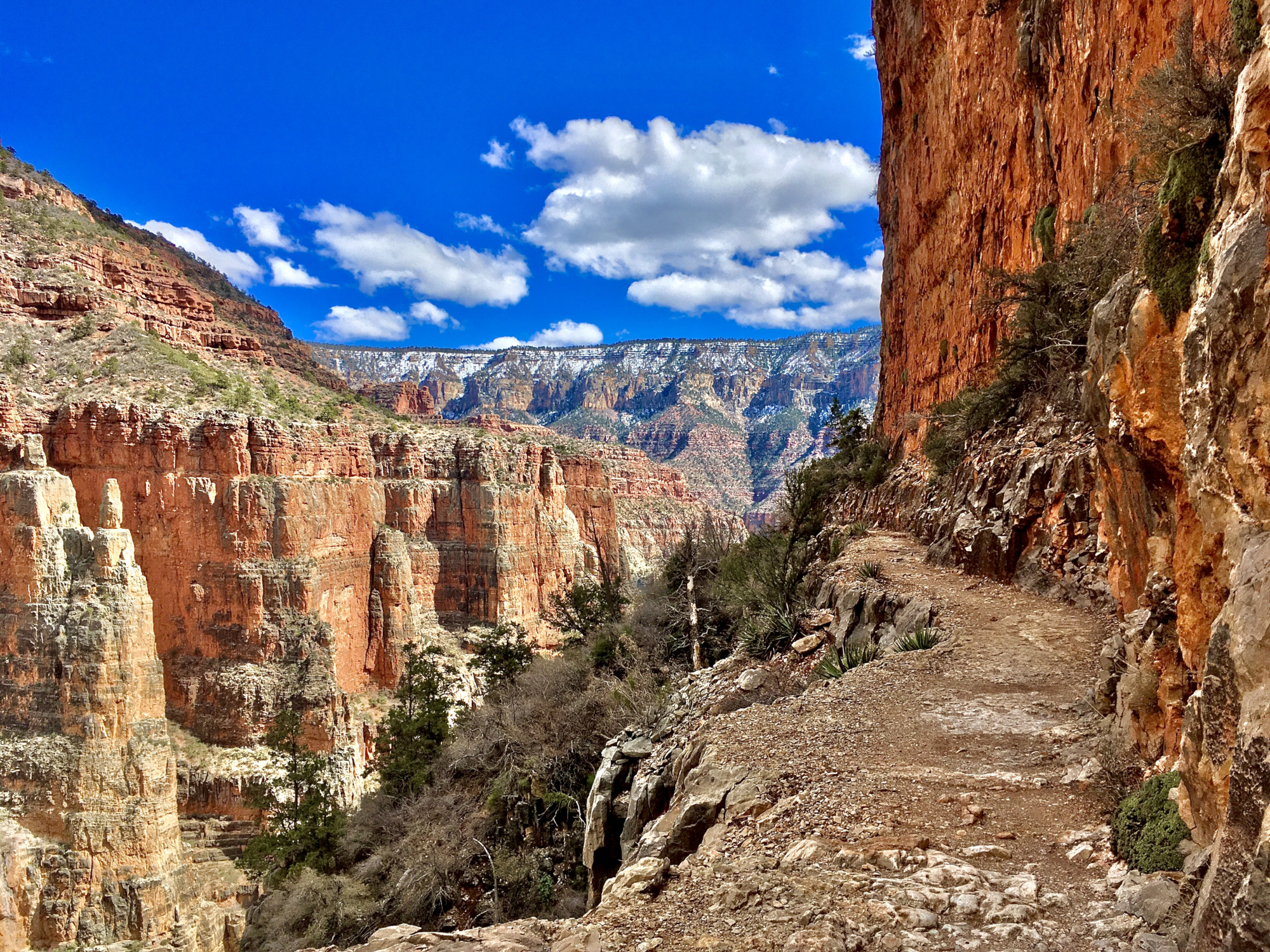 2020-03-24_14-19-31_637_small