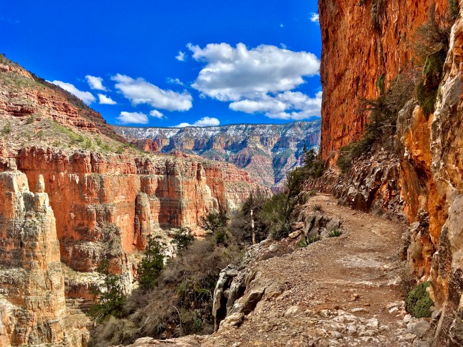 2020-03-24_14-19-31_637_small